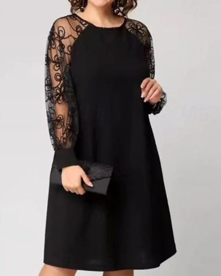 Women's Mini Dress Lace Dress Casual Dress Elegant Fashion Outdoor Holiday Date Regular Fit Plain Long Sleeve Crew Neck Black Spring Autumn